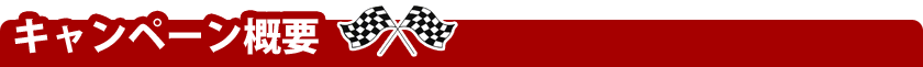 キャンペーン概要